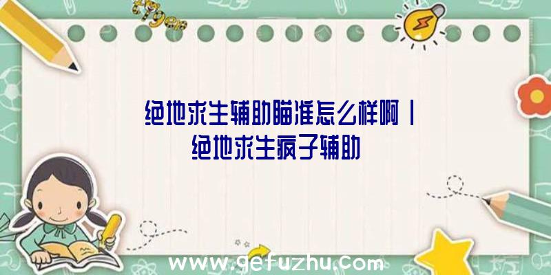 「绝地求生辅助瞄准怎么样啊」|绝地求生疯子辅助